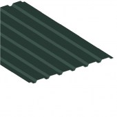 C20 RAL 6005